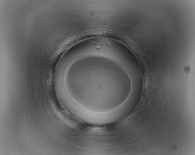 X0000113080163200909111011