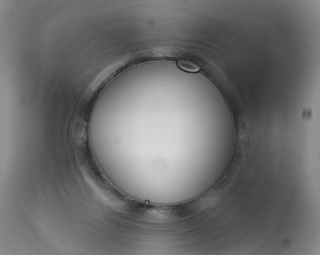 X0000113080164200909111011