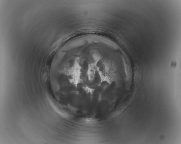 X0000113080165200909111011