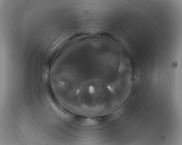 X0000113080166200909111011