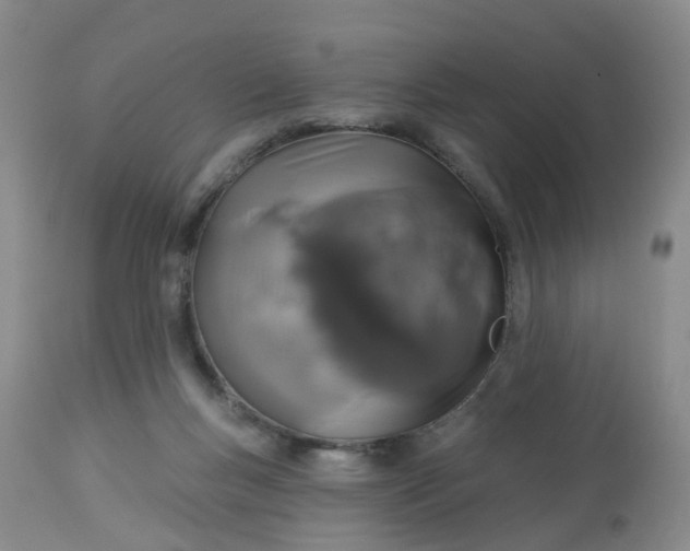 X0000113080167200909111011