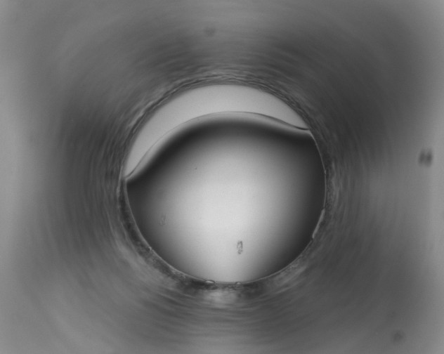 X0000113080168200909111011