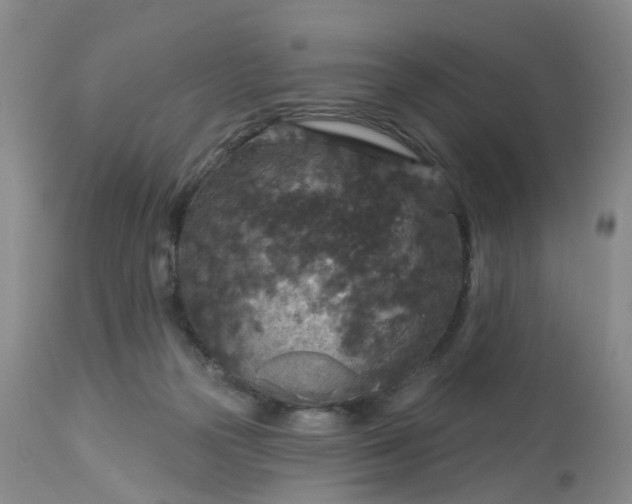 X0000113080169200909111011