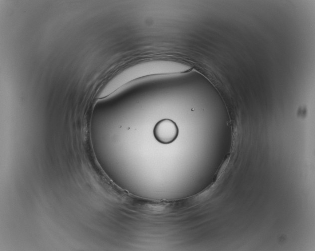 X0000113080170200909111011