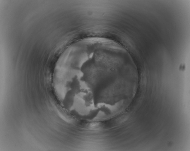 X0000113080173200909111011