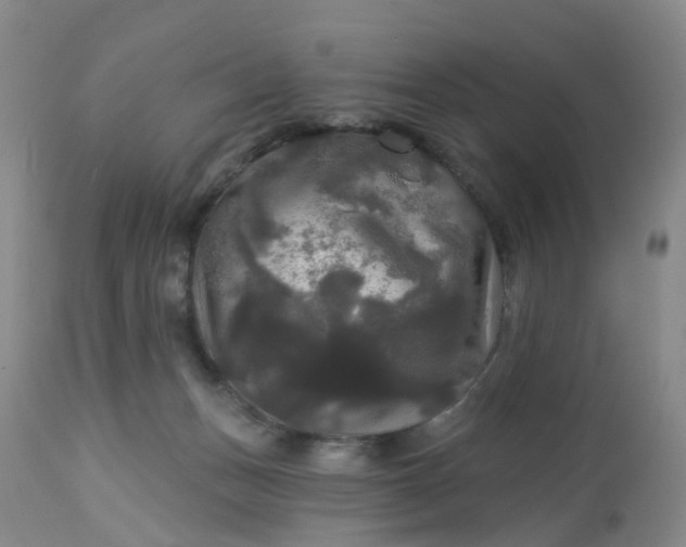 X0000113080175200909111012