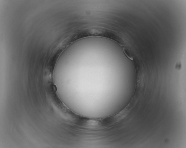 X0000113080176200909111012