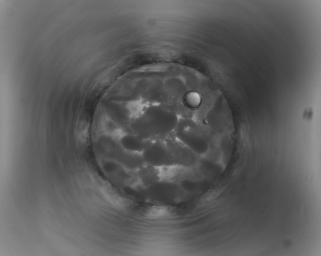 X0000113080177200909111012