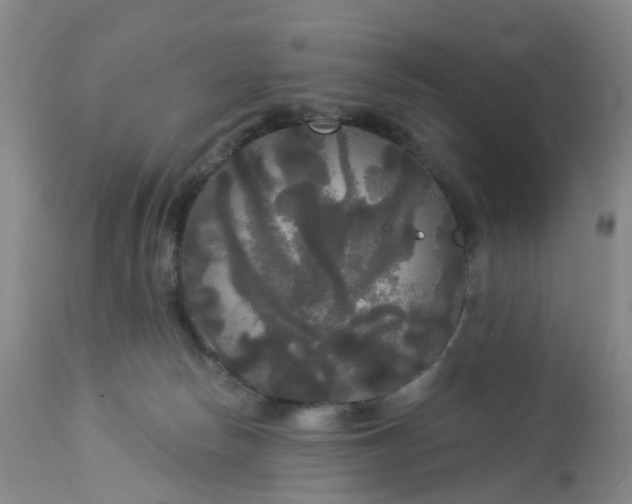 X0000113080178200909111012