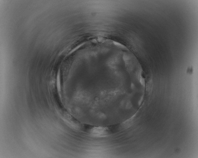 X0000113080179200909111012