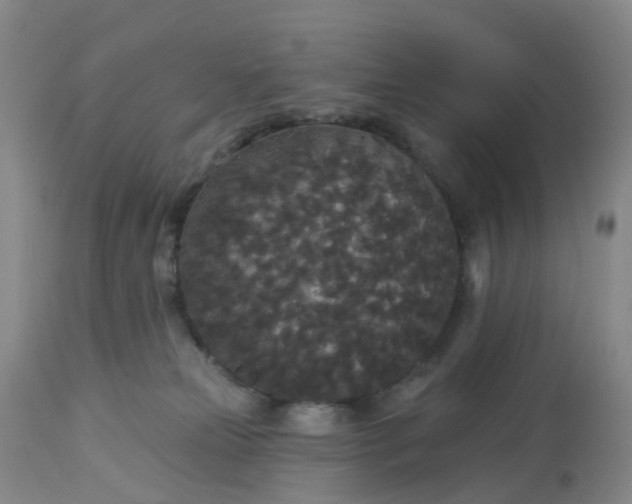 X0000113080181200909111012