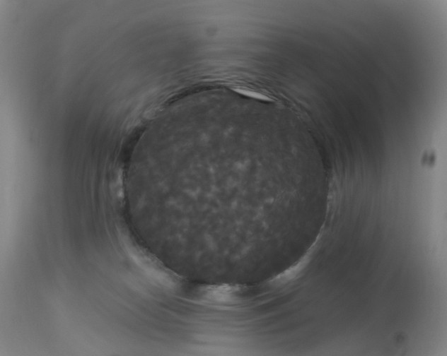 X0000113080182200909111012