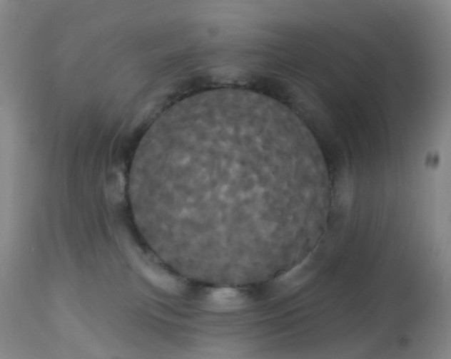 X0000113080183200909111012