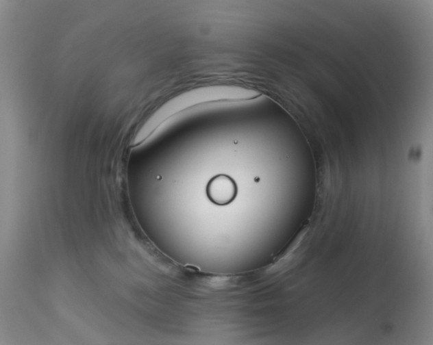 X0000113080184200909111012