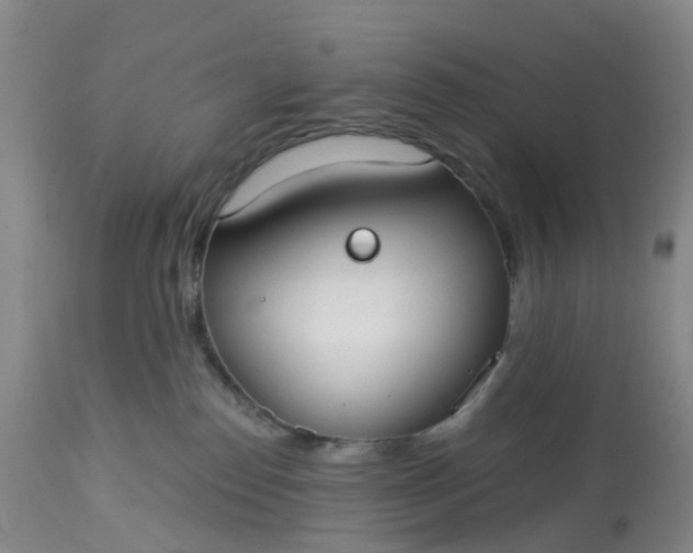 X0000113080186200909111012