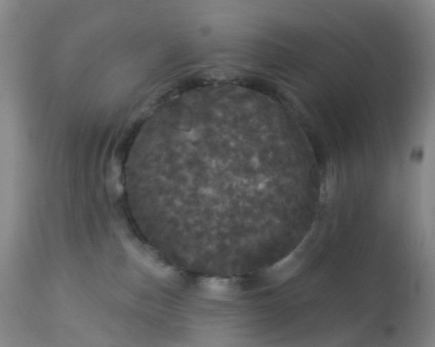 X0000113080187200909111012