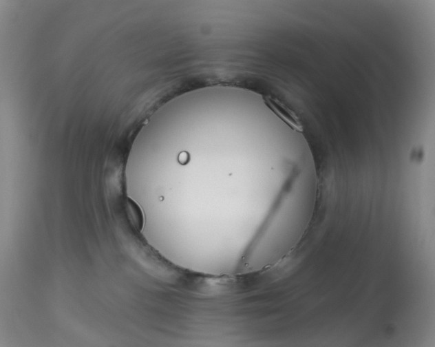 X0000113080188200909111012