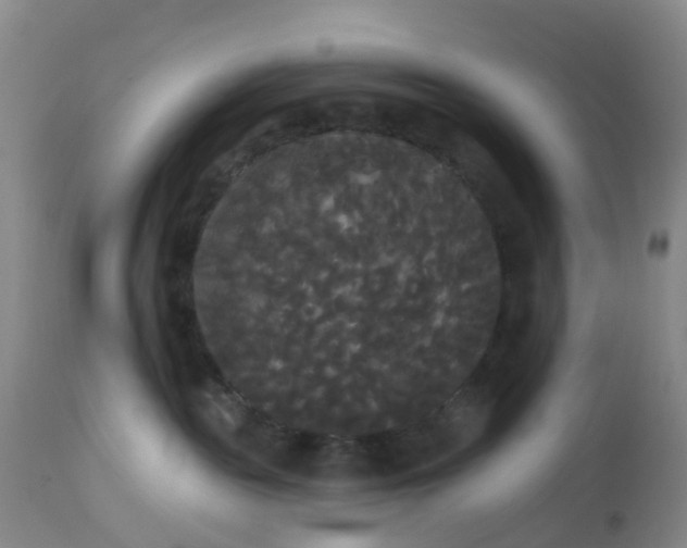 X0000113080189200909111012