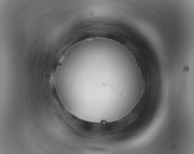 X0000113080190200909111012