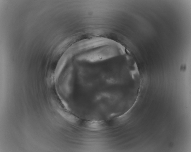 X0000113080191200909111012