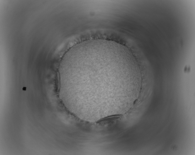 X0000113080192200909111012