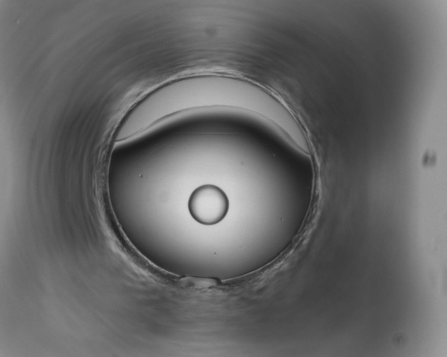 X0000113080193200909111011