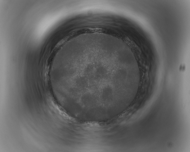 X0000113080194200909111011