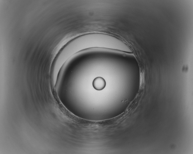 X0000113080195200909111011