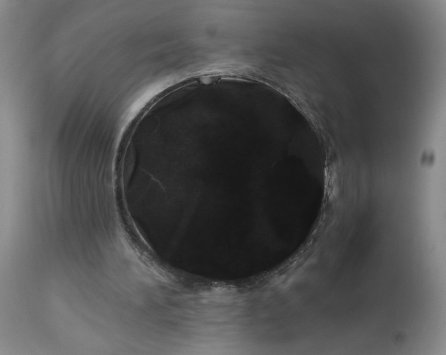 X0000113080196200909111011