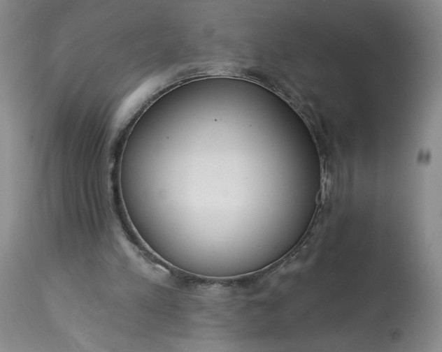 X0000113080197200909111011