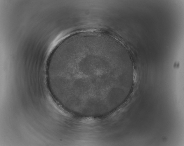 X0000113080198200909111011