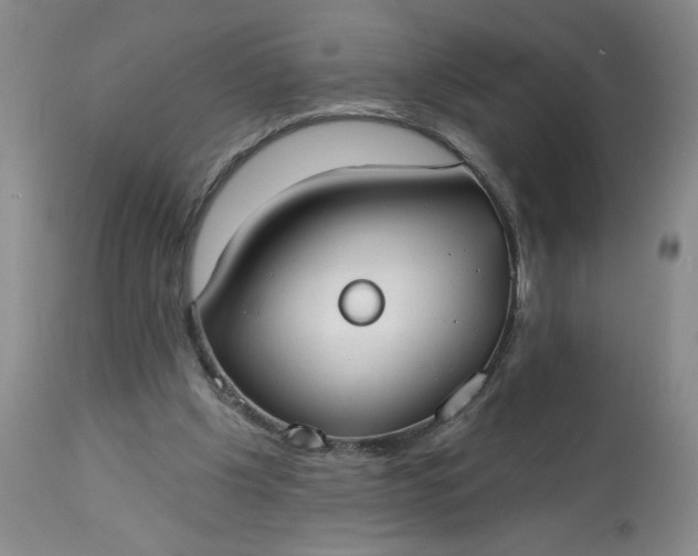 X0000113080201200909111011