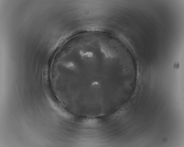 X0000113080202200909111011