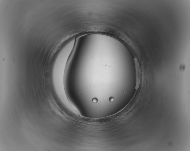 X0000113080203200909111011