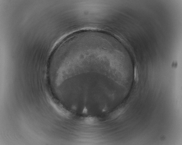 X0000113080204200909111011