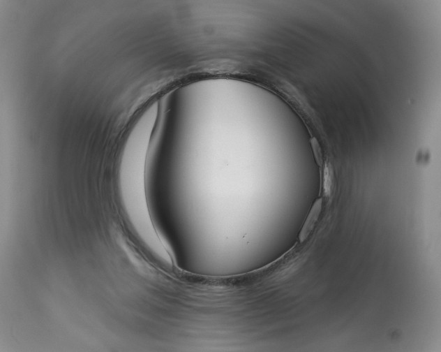 X0000113080205200909111011