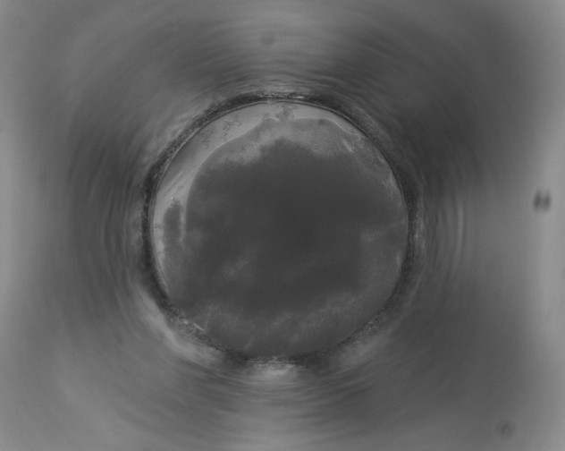 X0000113080206200909111011