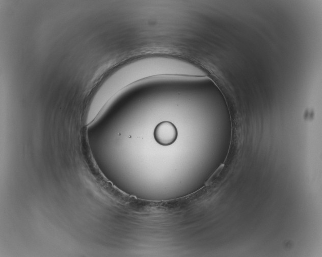 X0000113080207200909111011