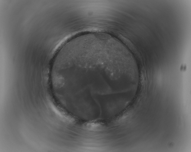 X0000113080208200909111011