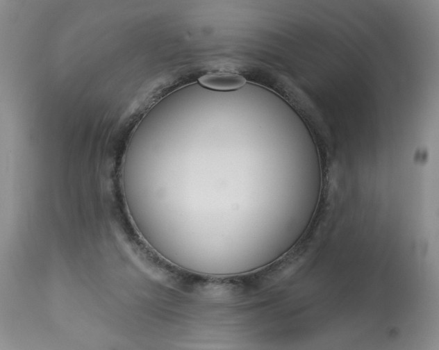 X0000113080209200909111011