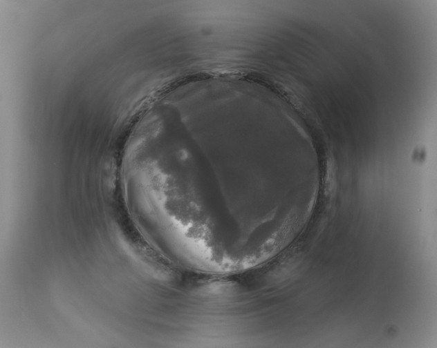 X0000113080210200909111011