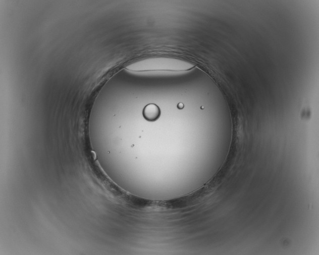 X0000113080211200909111011