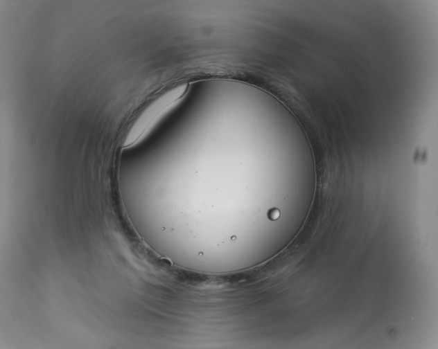 X0000113080213200909111011