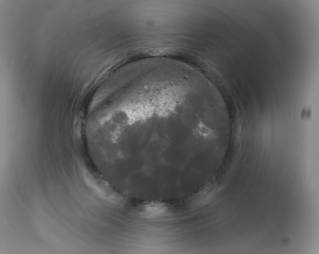 X0000113080214200909111011