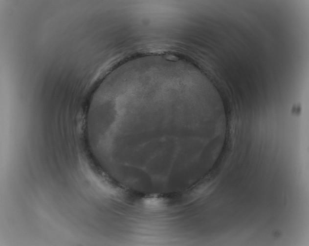 X0000113080216200909111011