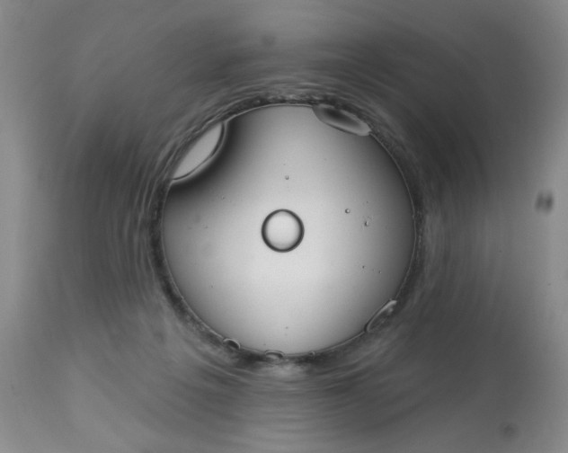 X0000113080217200909111011