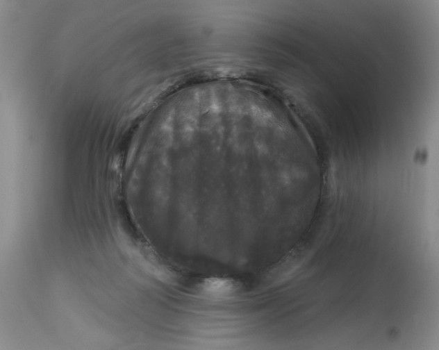 X0000113080218200909111011