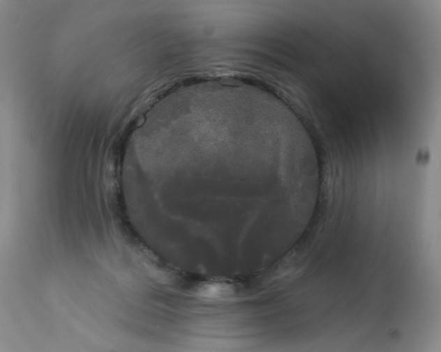 X0000113080220200909111011