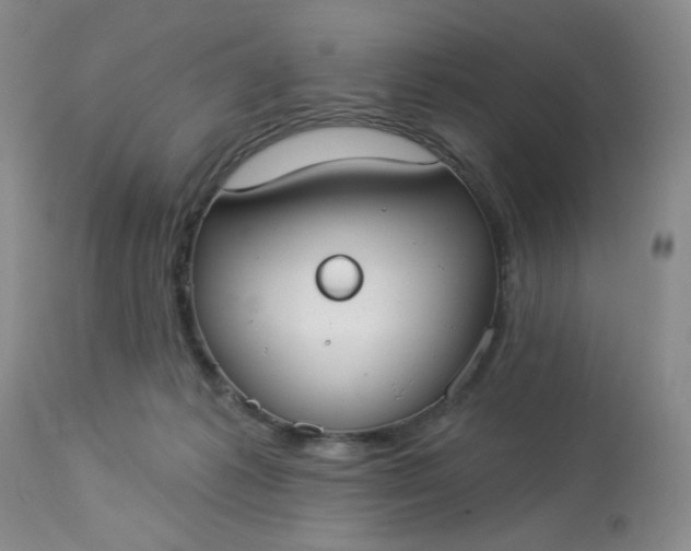 X0000113080221200909111011