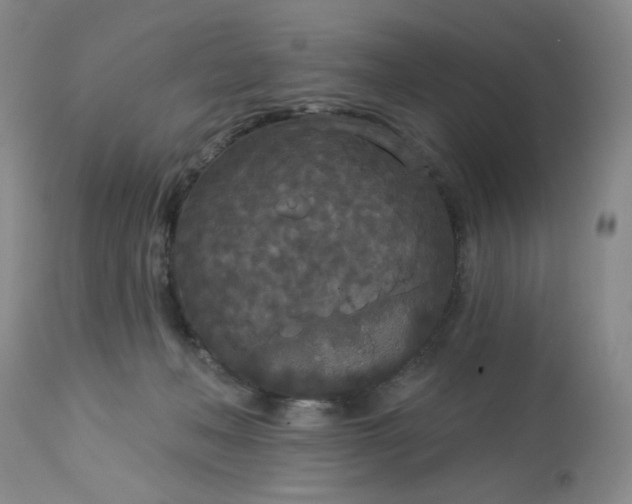 X0000113080222200909111011